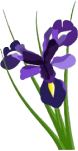 footer-logo